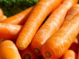 А ви це знали? З чим категорично заборонено зберігати моркву - краще не класти ці овочі поруч