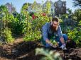 Оце так! Заняття садівництвом може знизити ризик розвитку раку