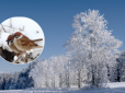 Завалить снігом і вдарить мороз: Синоптики назвали дату різкого похолодання і нової неприємності