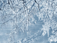 Морози в Україні досягнуть -22°: Синоптик розповів, де буде найхолодніше