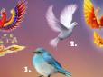 Психологічний тест: Виберіть пташку на картинці - та дізнайтеся, що чекає на вас найближчим часом