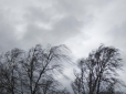 Україну накриє нестійка та вітряна погода: Синоптик розказав, де буде найхолодніше