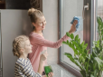 ТОП-6 способів помити вікна без розводів - результат вас порадує!