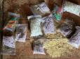 У Кривому Розі викрили наркокартель злочинної організації Двадцятівські (відео)