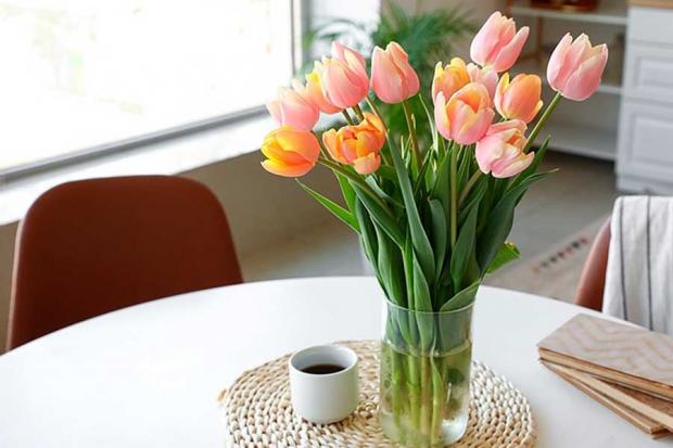 Щоб стояло в кожній хаті: як грамотно обрати тюльпани до 8 березня