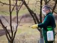 Чим обприскувати дерева навесні, щоб захистити від шкідників -  поради садівникам