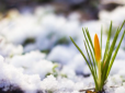 Україну наприкінці березня засипле снігом: Синоптик розповіла, коли різко погіршиться погода