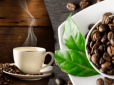 Як зрозуміти, хороша кава чи ні: ТОП-4 поради для вибору найсмачнішого напою