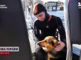 Єдина така на всю Україну собака-водолаз: Рятувальники розповіли про свою унікальну та спритну 