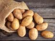 Сусіди точно позаздрять! Як отримати багатий врожай картоплі: ТОП-8 секретів, які творять дива
