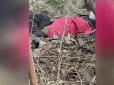 Звірства, які шокують: У Бахмуті російський снайпер цинічно розстріляв літню пару (відео 18+)