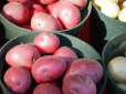 Фольга збільшить урожай картоплі у кілька разів: Що з нею потрібно зробити