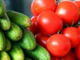 По кишені не всім: Стало відомо, коли в Україні почнуть дешевшати помідори, огірки та цибуля