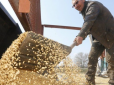 Проблеми наростають: Ще одна країна вирішила обмежити імпорт зернових із України