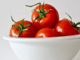 Для чого тепличні помідори посипати цукром? Результат вас здивує!
