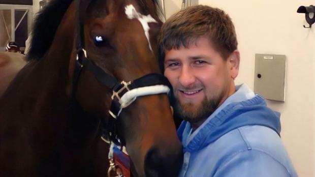 Кадиров заявив, що українські спецслужби вкрали для нього коня
