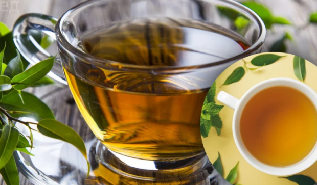 Чи корисно пити зелений чай щодня? Вплив на здоров'я і корисні властивості