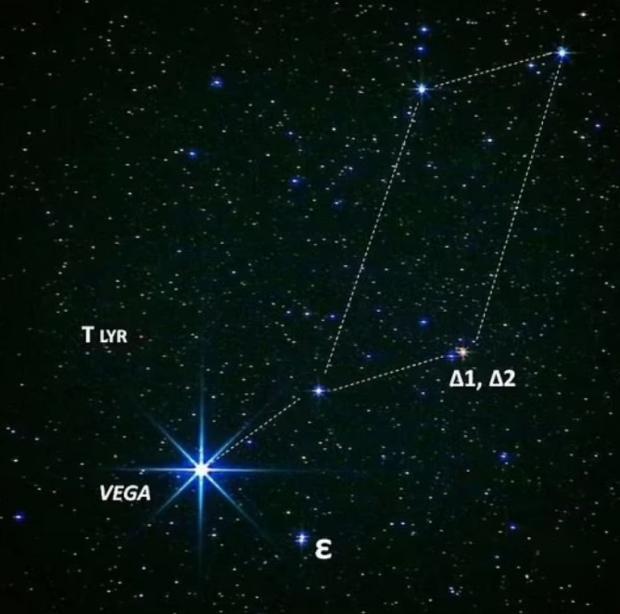 Вега є найяскравішою зіркою у сузір'ї Ліри