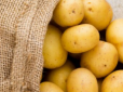 Три ознаки токсичності картоплі: Як на око обрати овоч в магазині і не помилитися