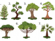 Психологічний тест по картинці: Просто оберіть дерево - і дізнайтеся правду про себе