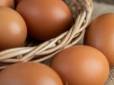 Якщо вдома немає яєць - поради досвідчених кулінарів, чим їх замінити у випічці