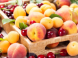 Поки по кишені не всім: Аграрії розповіли, коли в Україні знизяться ціни на черешню та абрикоси