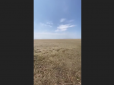 Замість води - величезна пустеля: У мережі показали, що лишилося на місці Каховського водосховища (відео)