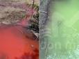 Місцеві жителі у паніці: У Росії вода в річці Дон набула кривавого кольору (фото)
