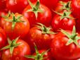Ефект приємно здивує! Підгодуйте цим помідори в липні, щоб зібрати потрійний врожай