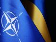 Що робитиме Україна, якщо не отримає запрошення в НАТО у Вільнюсі - відповідь уряду