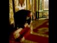 Порушили канонічне право: Проросійські попи винесли з храму у Білій Церкві навіть килимові доріжки (відео)