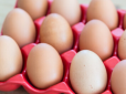 Яйця в Україні ще більше подешевшають: Економісти спрогнозували ціни на продукт у серпні