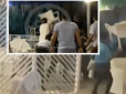 У Туреччині знову побили росіян - цього разу стільцями по голові (відео)