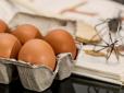 Господиням на замітку!  Що означає маркування на яйцях з магазину та чи варто враховувати їх розмір у кулінарних рецептах