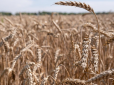 До 100 тис. грн: Українці зможуть отримати компенсацію за втрачений врожай