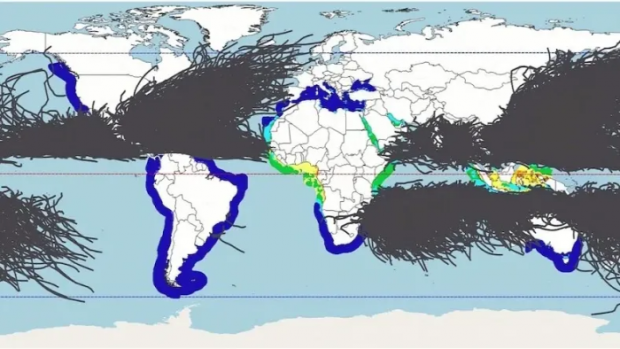 Теплова карта Землі. Найкраще для розміщення морських плавучих сонячних батарей підходять червоні області, за якими йдуть жовті, зелені та сині. Сірі лінії показують шляхи тропічних штормів