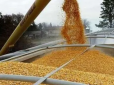 Польща заборонила Україні експортувати українське зерно, але дозволяє РФ: Як пояснюють ситуацію