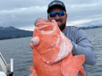Щасливий рибалка витягнув рекордного морського окуня з глибини 300 метрів (фотофакти)