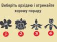 Виберіть орхідею - і отримаєте потрібну вам пораду просто зараз