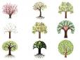 Психологічний тест: Оберіть дерево - і ми розкажемо про домінуючу рису вашого характеру