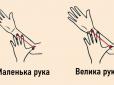 Перевірте себе! Розмір вашої руки розповість дещо цікаве про ваш характер