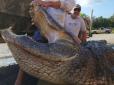 Неймовірна сутичка з хижим гігантом: У Флориді вполювали алігатора, другого за розміром, котрих коли-небуть фіксували