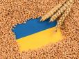 Країни ЄС готові розглянути запропоновані Україною зміни у правилах експорту зерна
