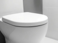 Туалет завжди пахнутиме гарно - простий метод врятує тих, хто не терпить зайві 