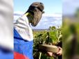 Покійник любив насіння: Бійці ЗСУ показали кумедну реінкарнацію російського загарбника (відео)