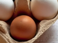 Мало хто знає, чим відрізняються кольорові яйця: Які вигідніше купувати