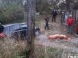 Водій не так припаркувався: На Хмельниччині авто скотилося зі схилу і насмерть переїхало жінку (фото)