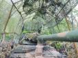 Чи не найдошкульніша загроза з неба для бронетехніки: В Україні освоїли промислове виробництво 