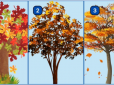 Психологічний тест: Виберіть дерево - і дізнайтеся, чи вдало ви справляєтеся зі стресом