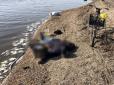 Загинув із вудкою в руках: Окупанти вбили ракетою 71-річного рибалку на Дніпропетровщині (фото)
